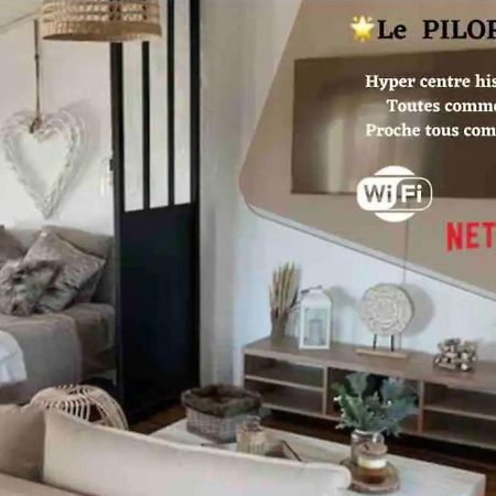 Le Pilori - Centre Historique, En Face Du Musee Du Pilori, A 2Mn A Pied De L'Hyper Centre Et Proche Toutes Commodites, Wifi-Netflix Niort Esterno foto